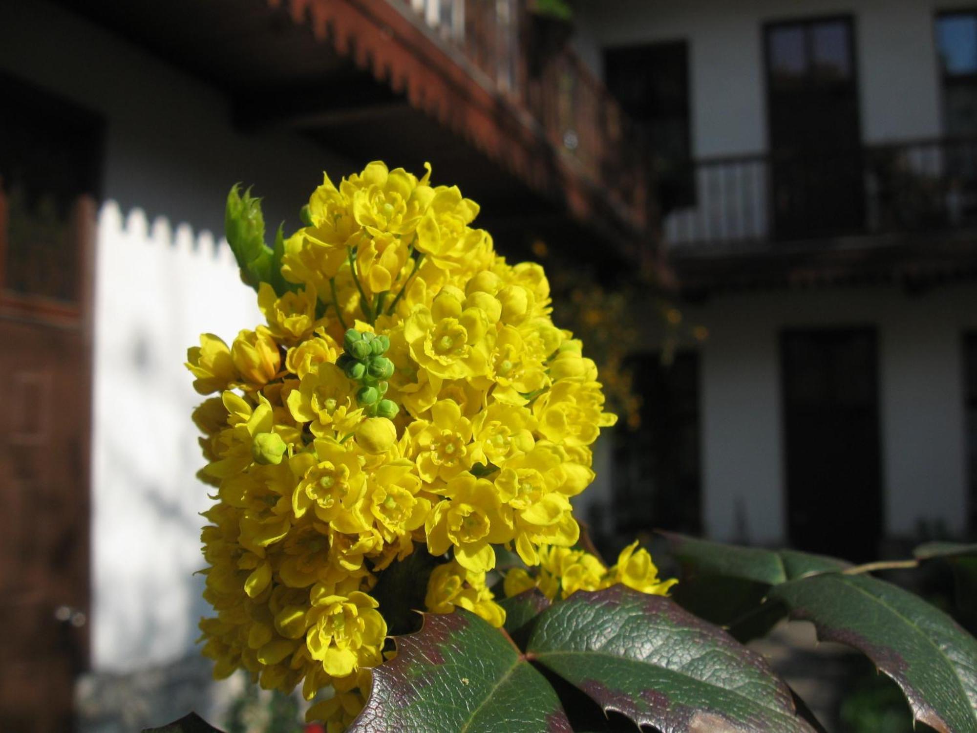 Globtroter Guest House — Zdjęcia 2